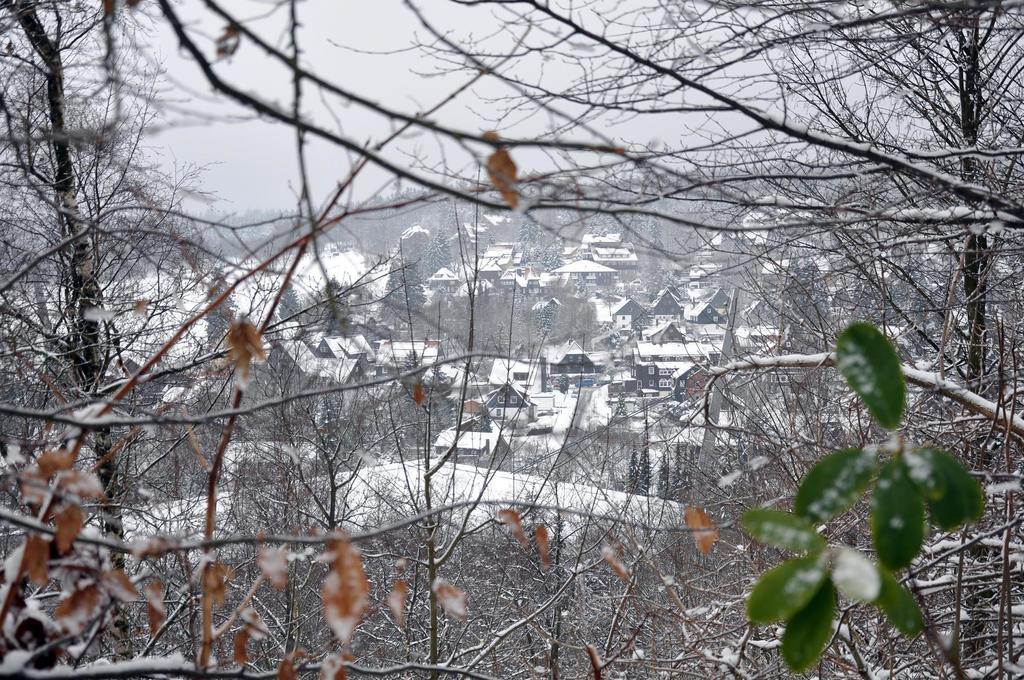 Haus Duemling Hotel Braunlage Eksteriør billede