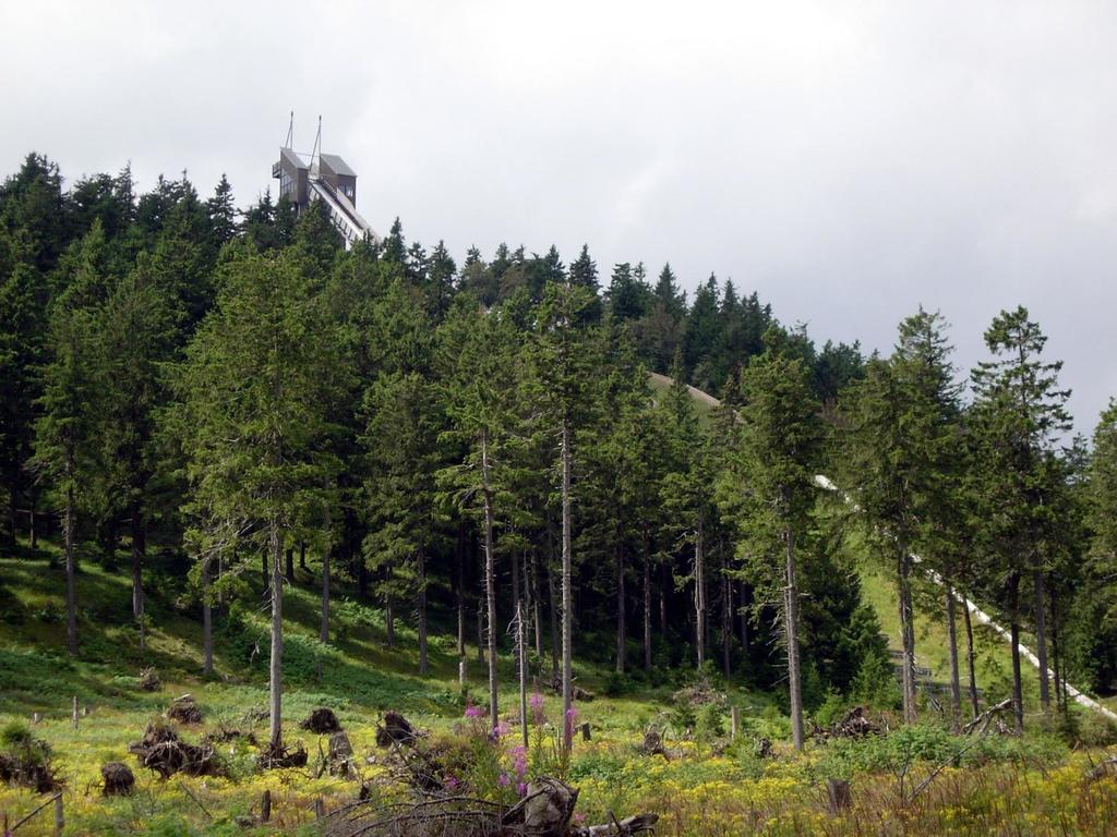 Haus Duemling Hotel Braunlage Eksteriør billede