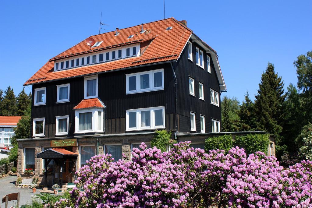 Haus Duemling Hotel Braunlage Eksteriør billede